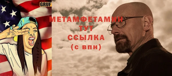 хмурый Пересвет