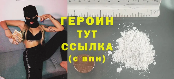 хмурый Пересвет
