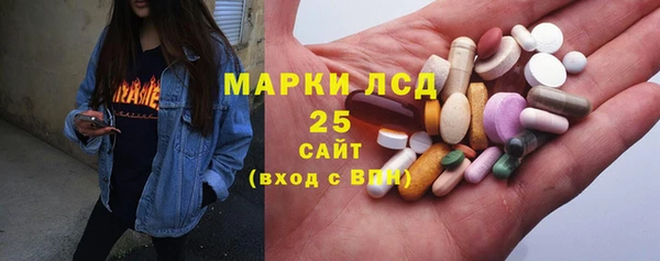 хмурый Пересвет