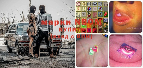 хмурый Пестово