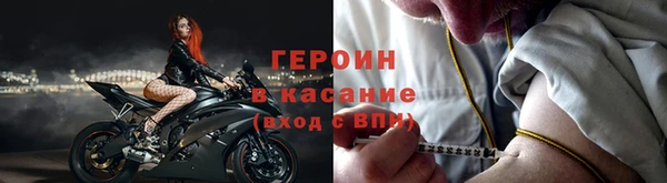 хмурый Пересвет