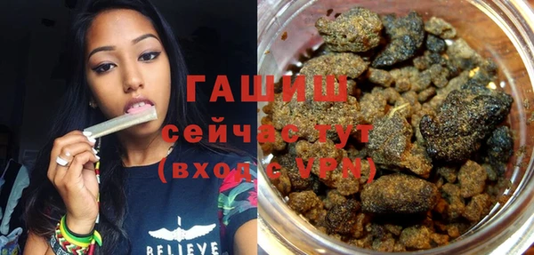 хмурый Пересвет