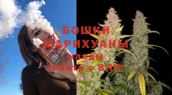 хмурый Пестово
