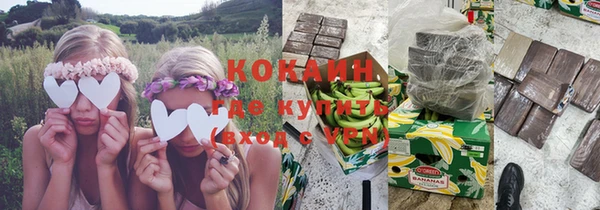 хмурый Пересвет