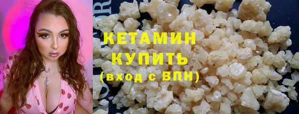 хмурый Пересвет