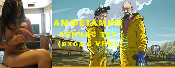 хмурый Пересвет