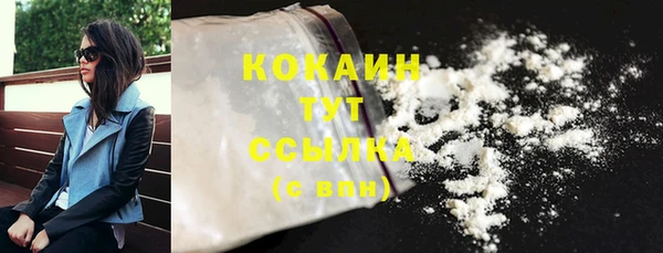 хмурый Пересвет